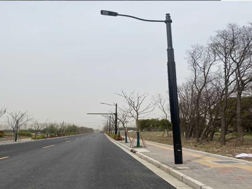 鼎城区上海综合杆 太阳能路灯工程